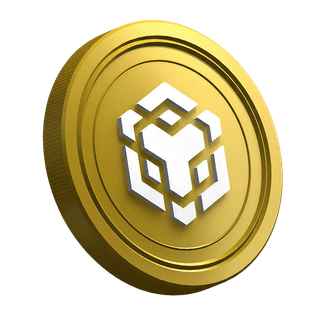 Token-ul BNB al platformei Binance afișat pe pagina ghidului pentru comercianți noi